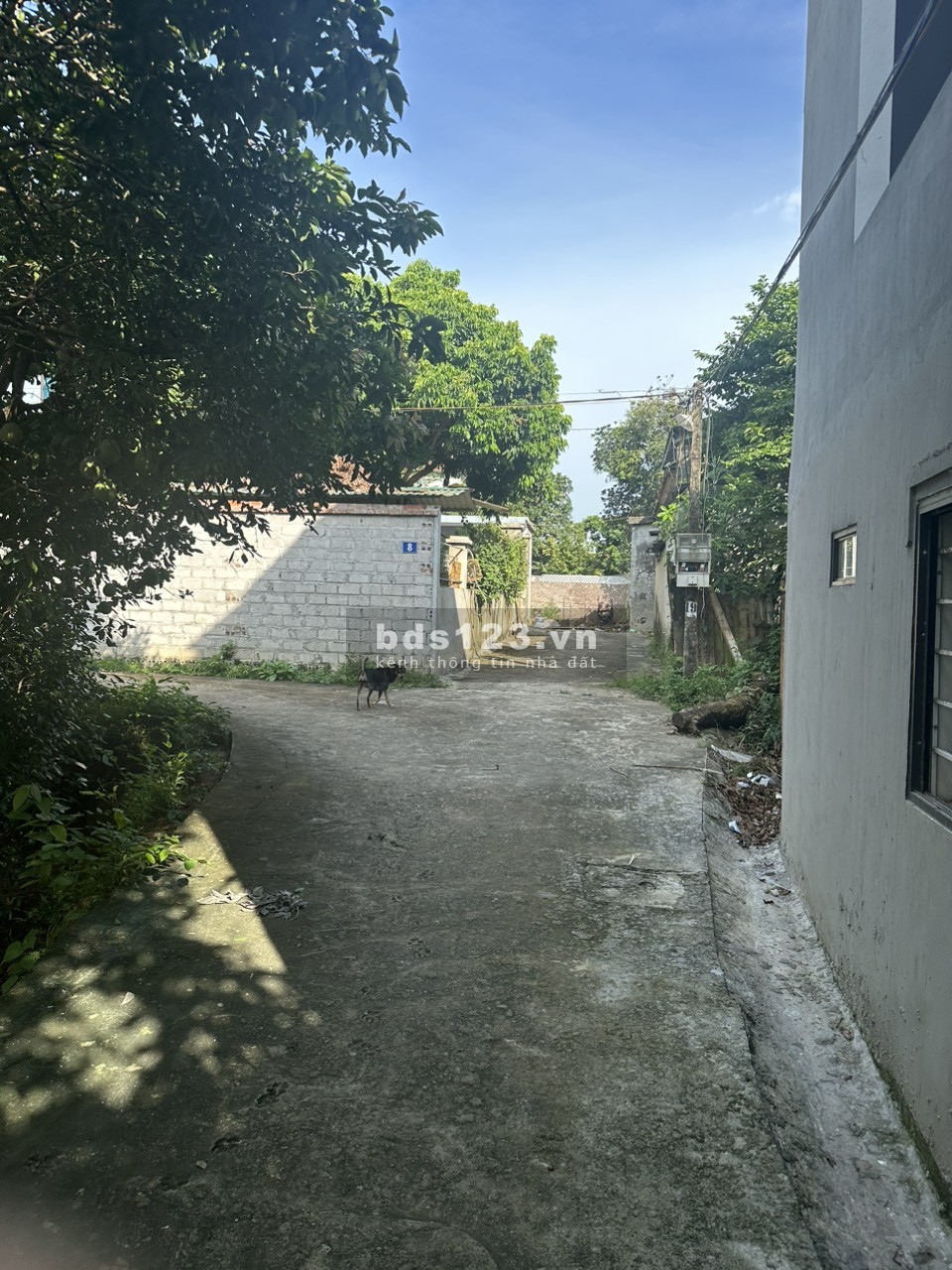 Chính chủ 100m2 full thổ cư tại Hạ Bằng không qua trung gian.