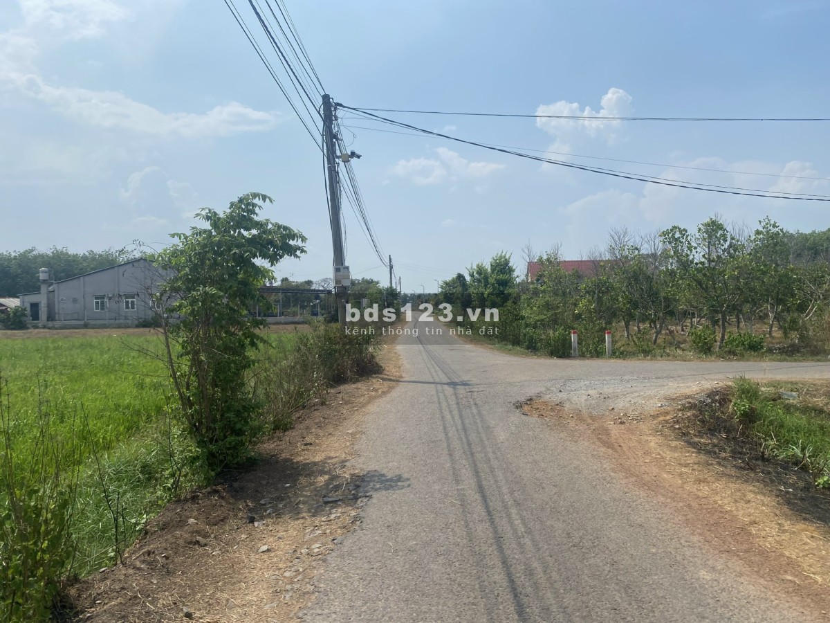 Đất giá rẻ tại Bàu Đồn - Gò Dầu - Tây Ninh 148m2 ( 6,5x29m )