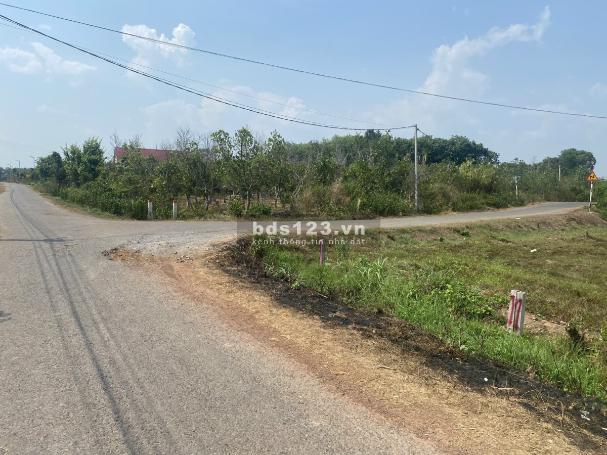 Đất giá rẻ tại Bàu Đồn - Gò Dầu - Tây Ninh 148m2 ( 6,5x29m )