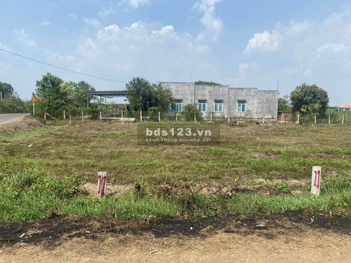 Đất giá rẻ tại Bàu Đồn - Gò Dầu - Tây Ninh 148m2 ( 6,5x29m )