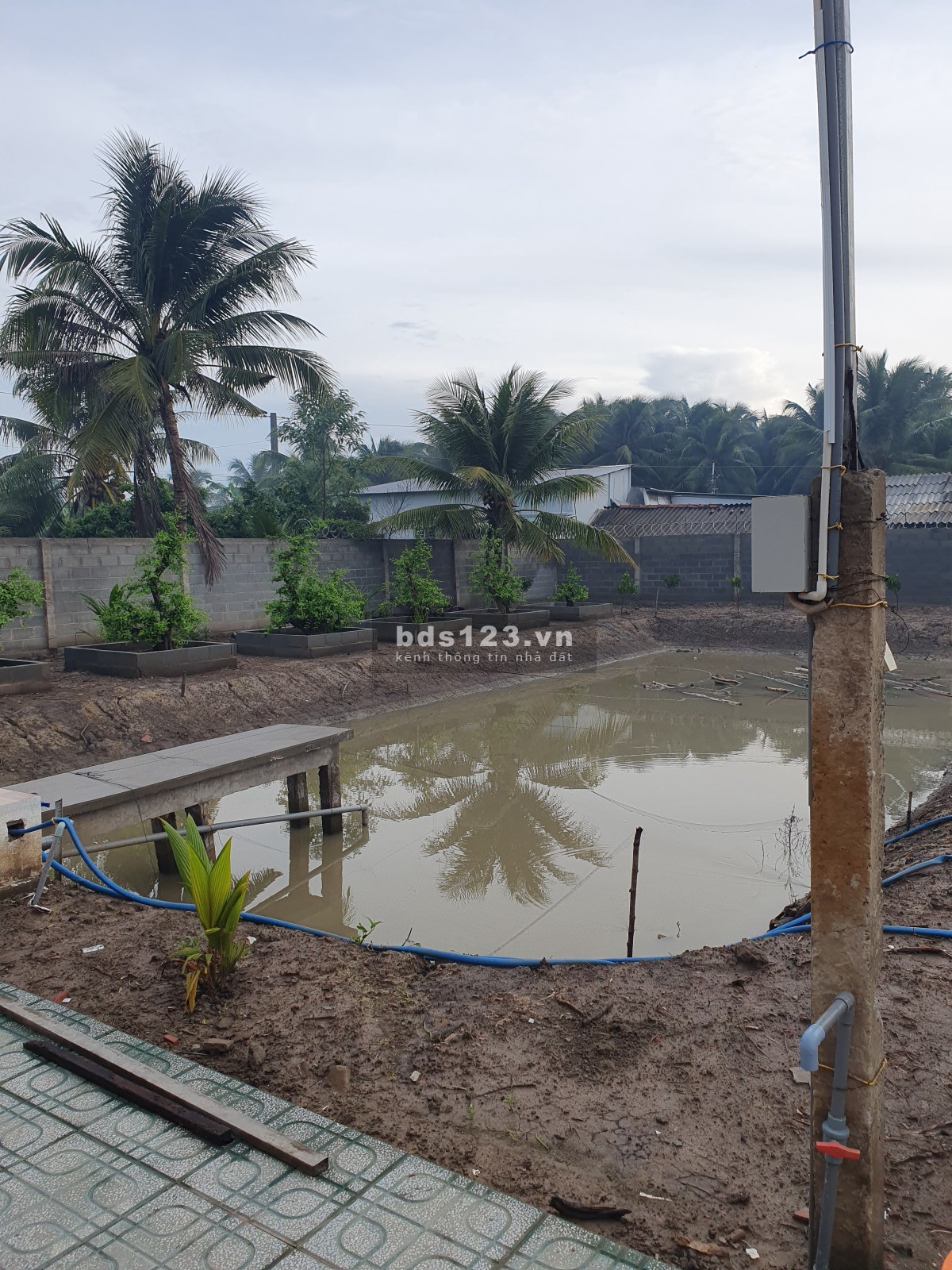 Tiền Giang, cần bán 4 thửa đất tuyệt đẹp tặng 4 chuyến du lịch Hàn Quốc cùng chính chủ