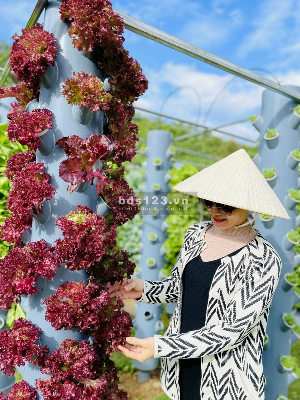 Làng Oa - Ngôi làng an cư view Vip - cụm tiện ích 3000m chăm sóc sức khỏe duy nhất tại Bảo Lâm
