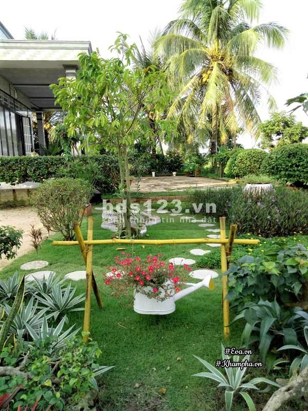 CHO THUÊ BIỆT THỰ HAI MẶT TIỀN GIÁ RẺ ĐƯỜNG PHAN CHU TRINH