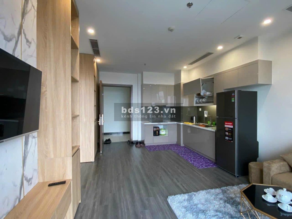 Không có nhu cầu sử dụng cần bán căn 1N+1 .Diện tích 53m2. Giá Chỉ 2 tỷ tại Vinhomes Ocean Park.