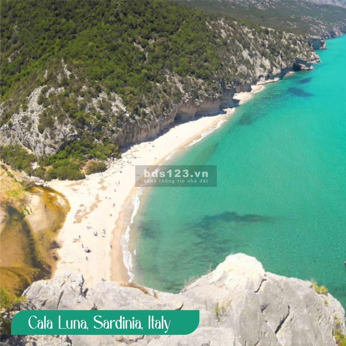 Khám phá căn hộ mặt biển Nha Trang, không gian sống đẳng cấp từ 1.2 tỷ