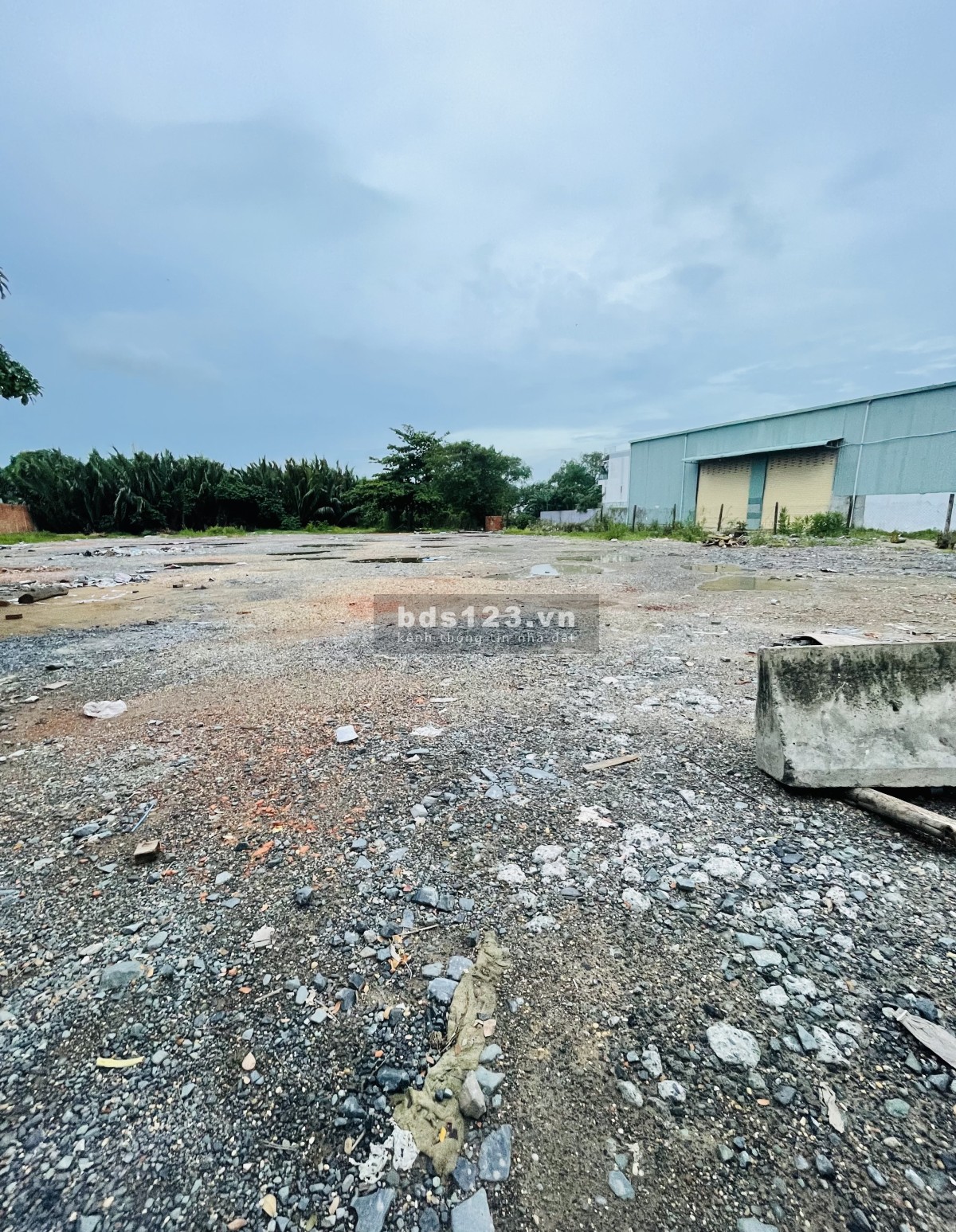 Cho thuê mặt bằng đất trống 1700m2; 3400m2 mặt tiền Võ Chí Công, P. Phú Hữu, Quận 9
