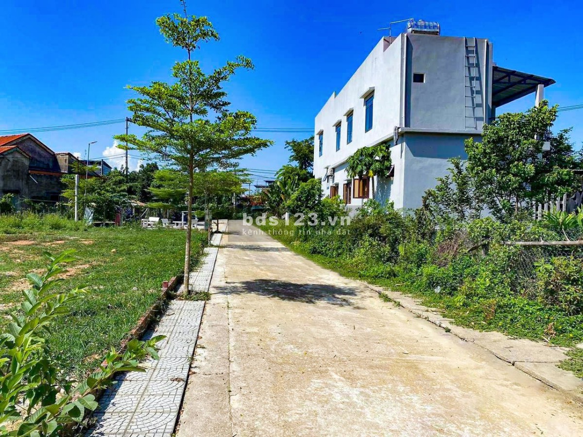 CẦN BÁN ĐẤT THỔ CƯ CÓ DIỆN TÍCH TRỒNG CÂY LÂU NĂM Ở VÙNG VEN ĐÀ NẴNG