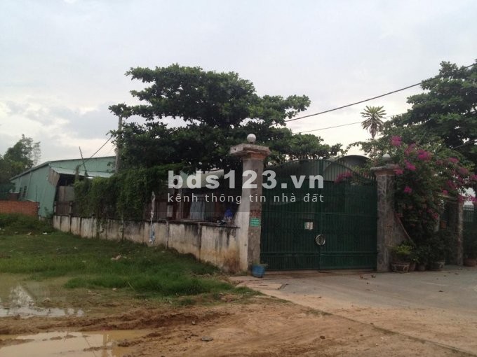 Cho thuê nhà xưởng 800m2 H. Hóc Môn, TP. HCM