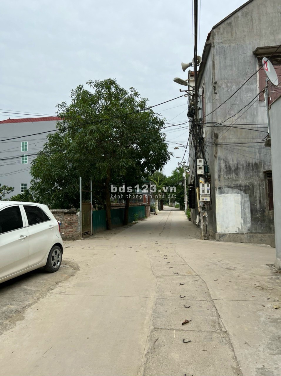 E cần bán đất siêu đẹp tổ 10 Quang Minh Diện Tích 60M2 ful tcGiá 3xtr /m2- Đường gần 5m oto vào