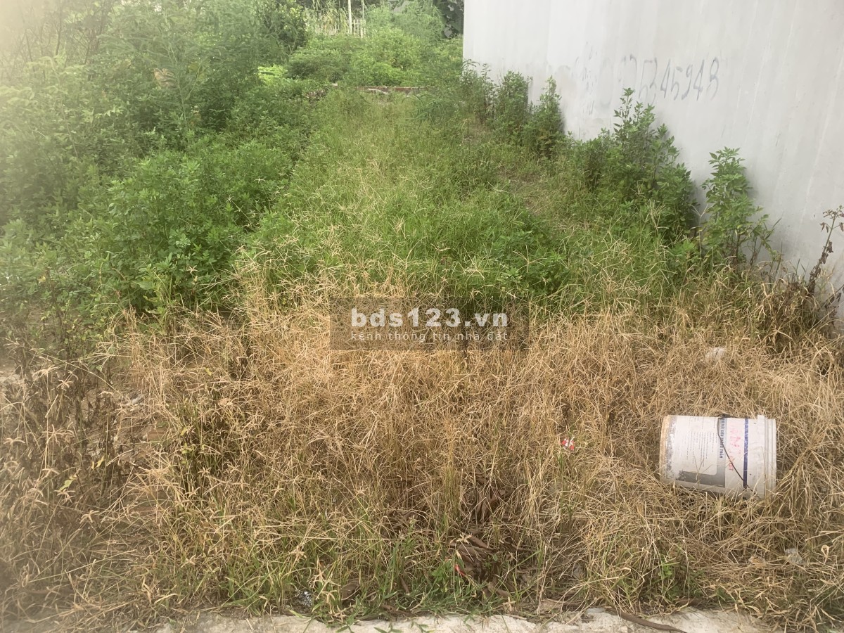 E cần bán đất siêu đẹp tổ 10 Quang Minh Diện Tích 60M2 ful tcGiá 3xtr /m2- Đường gần 5m oto vào