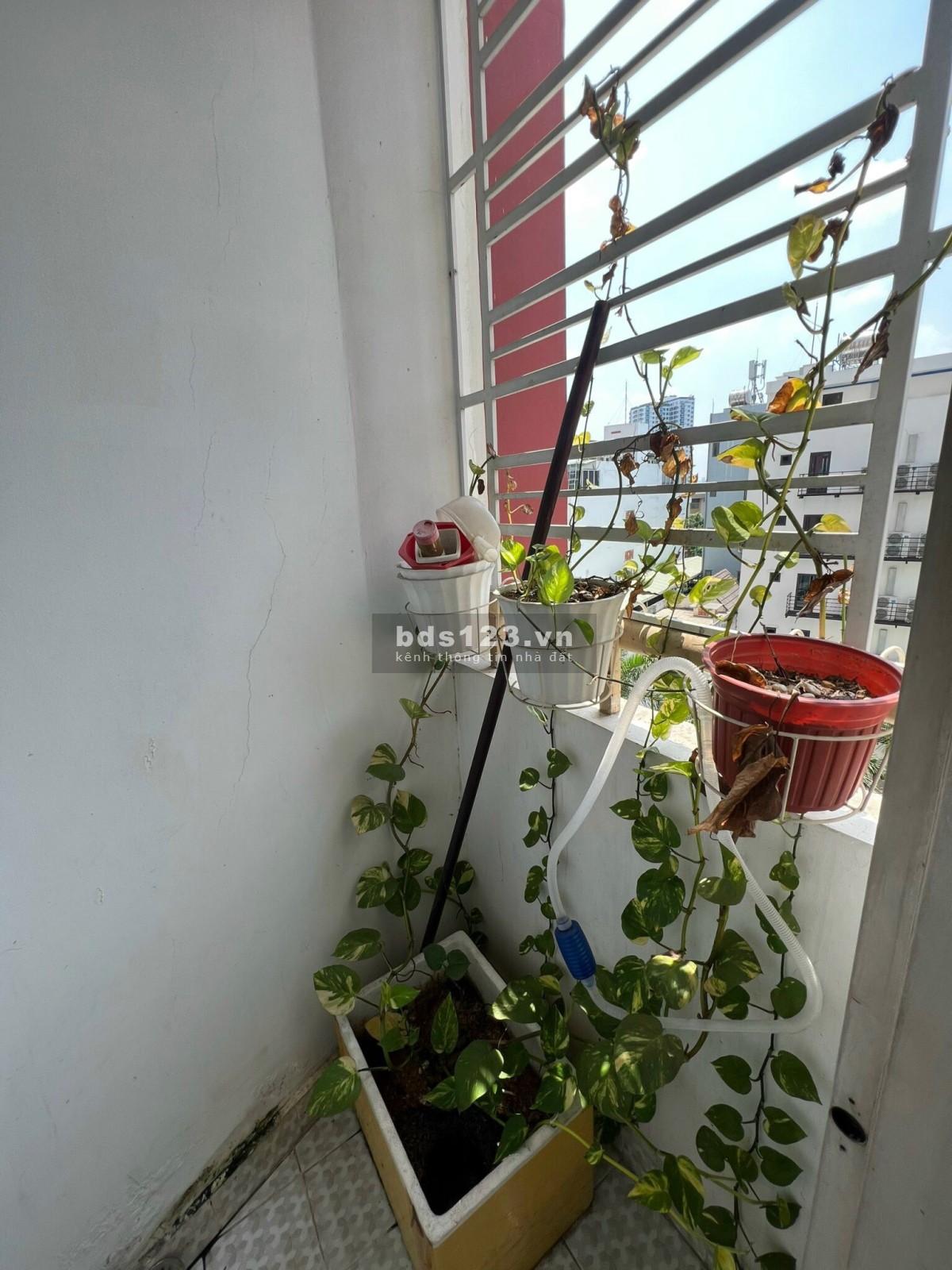 Chung cư Tân Phước - Quận 11 3pn 71m2 giá 9tr