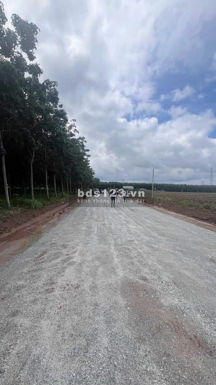 Đất trung tâm Bình Phước cơ hội đầu tư không thể bỏ lỡ 3 lô liền kề giá chỉ 950tr