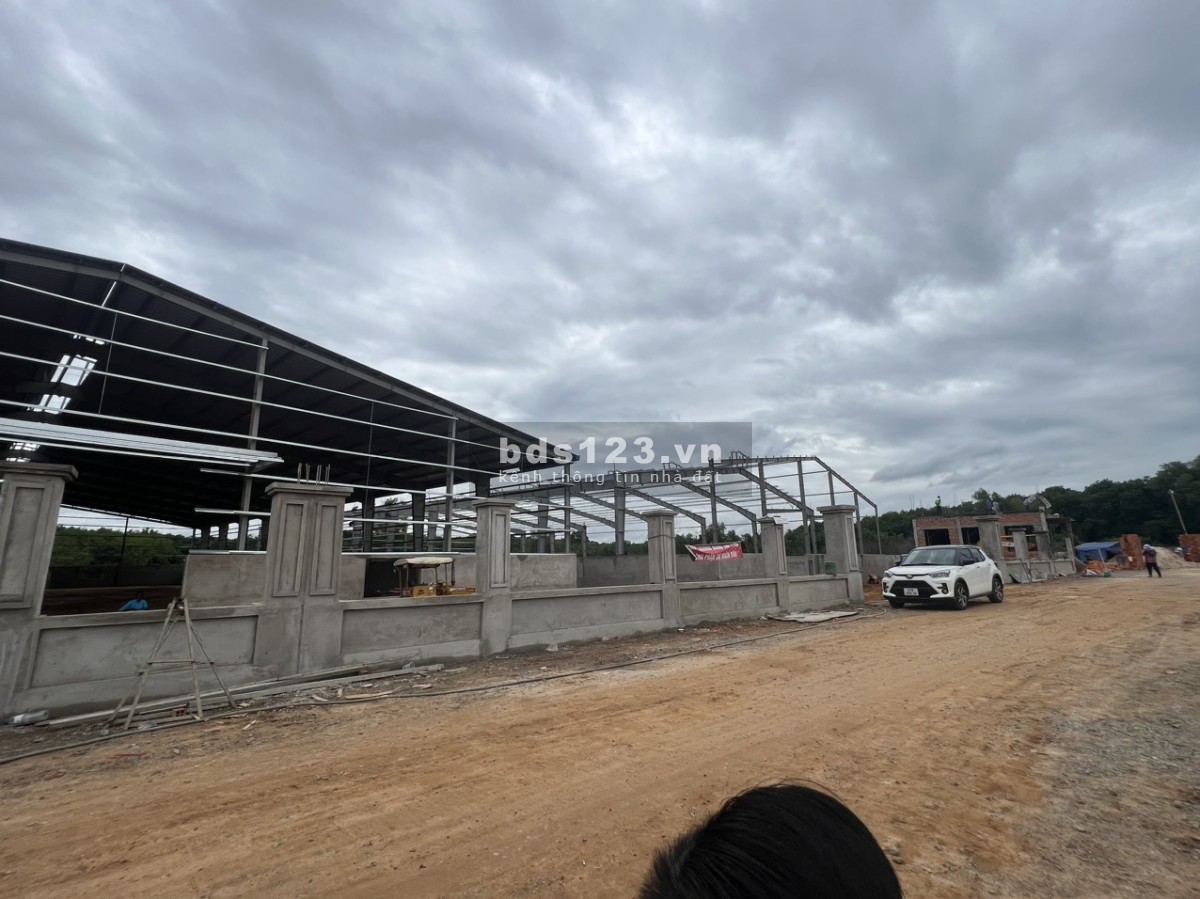 Cho thuê 2000m2 , 3000 m2 , 8000m2 Xưởng mới Gía : 62.000đ/m2 , Tân Uyên Bình Dương