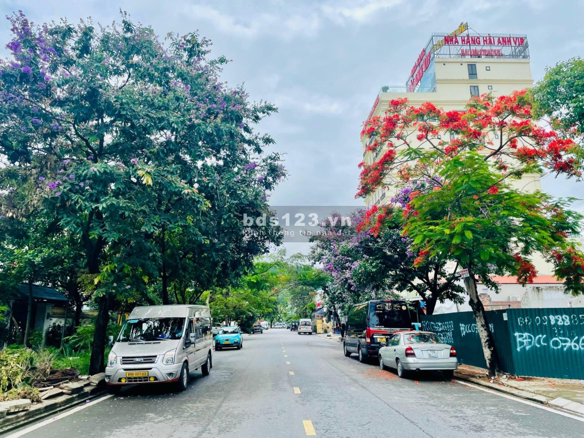 Biệt thự trung tâm Bãy cháy khu sầm uất du lịch bậc nhất Hạ Long