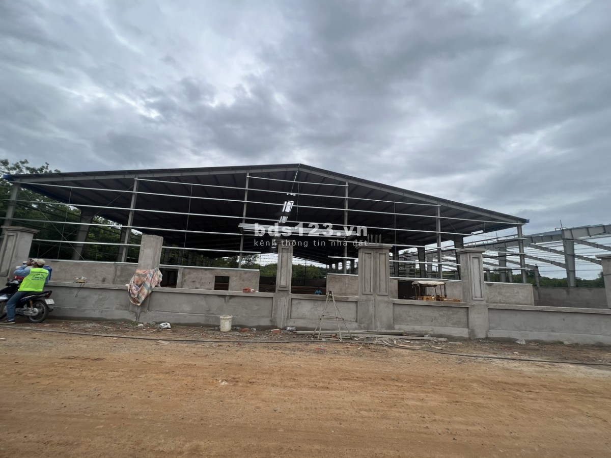 Cho thuê 2000m2 , 3000 m2 , 8000m2 Xưởng mới Gía : 62.000đ/m2 , Tân Uyên Bình Dương