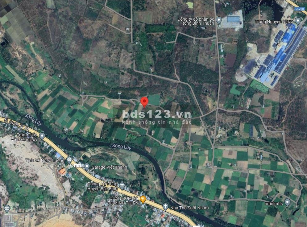 5sào View hồ Sông Lũy - Bình Thuận, giá chỉ 800 triệu