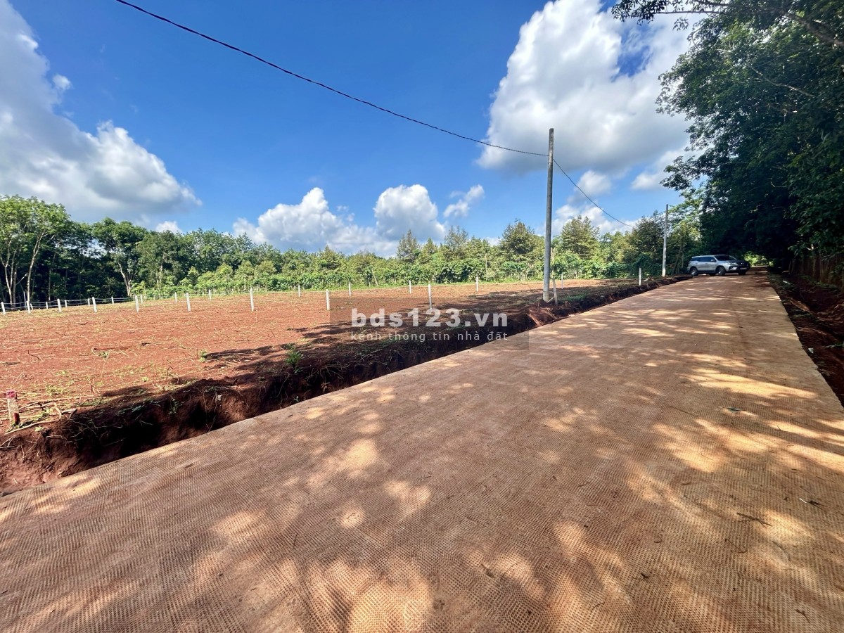 NHÀ BÁN LÔ ĐẤT (30x65=2.000m2) TÁCH 2 SỔ, SHR, 330TRIỆU, SÁT DÂN, GẦN CHỢ, TRƯỜNG HỌC