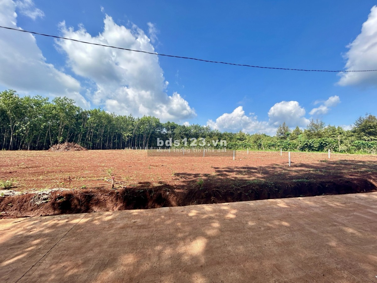 NHÀ BÁN LÔ ĐẤT (30x65=2.000m2) TÁCH 2 SỔ, SHR, 330TRIỆU, SÁT DÂN, GẦN CHỢ, TRƯỜNG HỌC