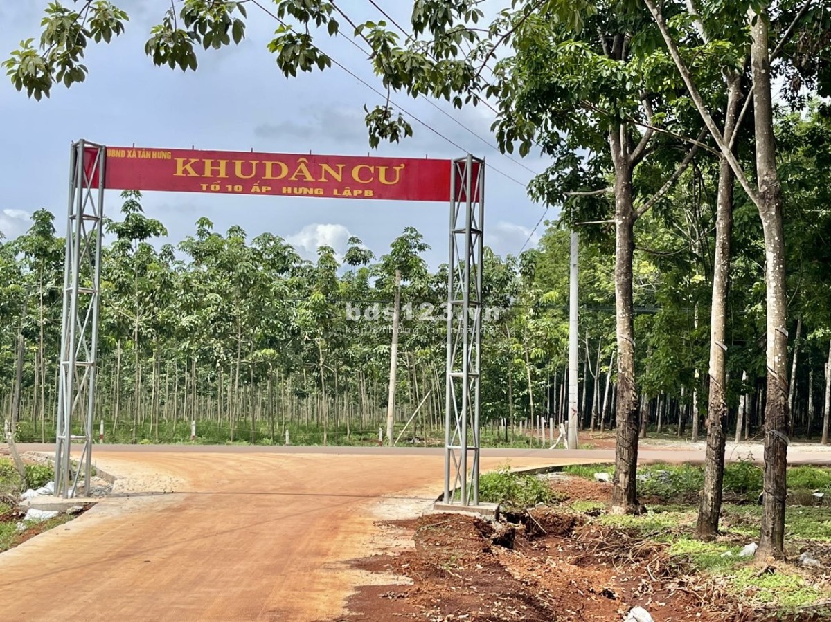 NHÀ BÁN LÔ ĐẤT (30x65=2.000m2) TÁCH 2 SỔ, SHR, 330TRIỆU, SÁT DÂN, GẦN CHỢ, TRƯỜNG HỌC