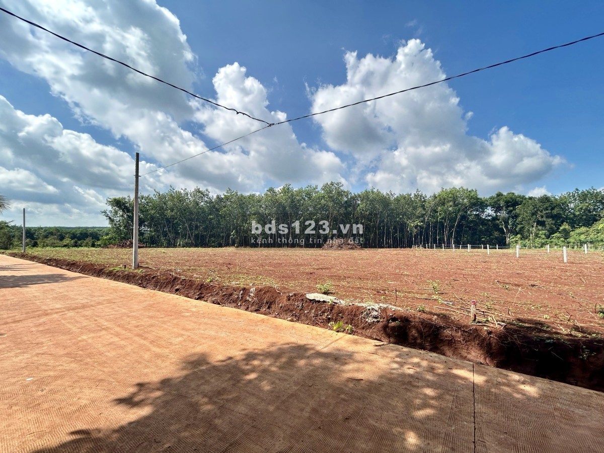 NHÀ BÁN LÔ ĐẤT (30x65=2.000m2) TÁCH 2 SỔ, SHR, 330TRIỆU, SÁT DÂN, GẦN CHỢ, TRƯỜNG HỌC