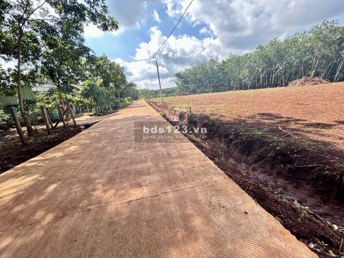 NHÀ BÁN LÔ ĐẤT (30x65=2.000m2) TÁCH 2 SỔ, SHR, 330TRIỆU, SÁT DÂN, GẦN CHỢ, TRƯỜNG HỌC