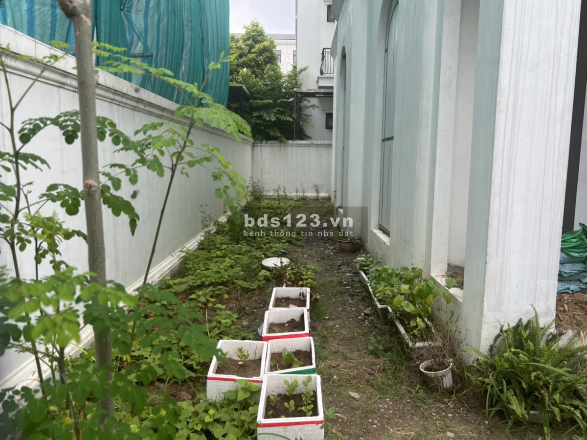 Biệt thự góc Sao Biển, giá 22.x tỷ Vinhomes Ocean Park Gia Lâm 0985 941715