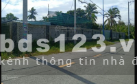 Cần bán gấp lô đất 300m2, mặt tiền Mai Bá Hương, SHR, gần cầu Bà Lát, giá gốc 1 tỷ 950