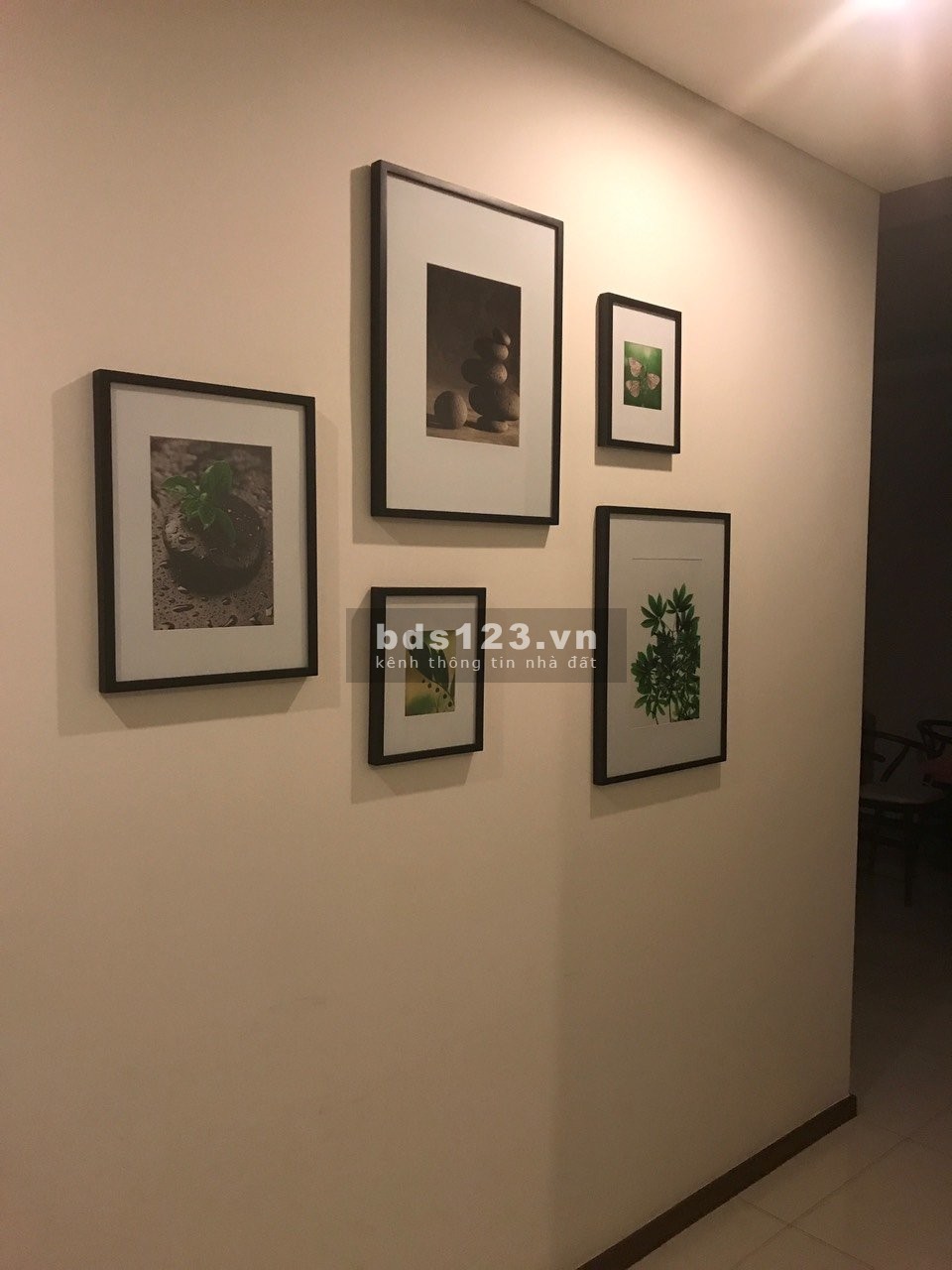 Cho thuê căn hộ cao cấp tại chung cư Vista Verde