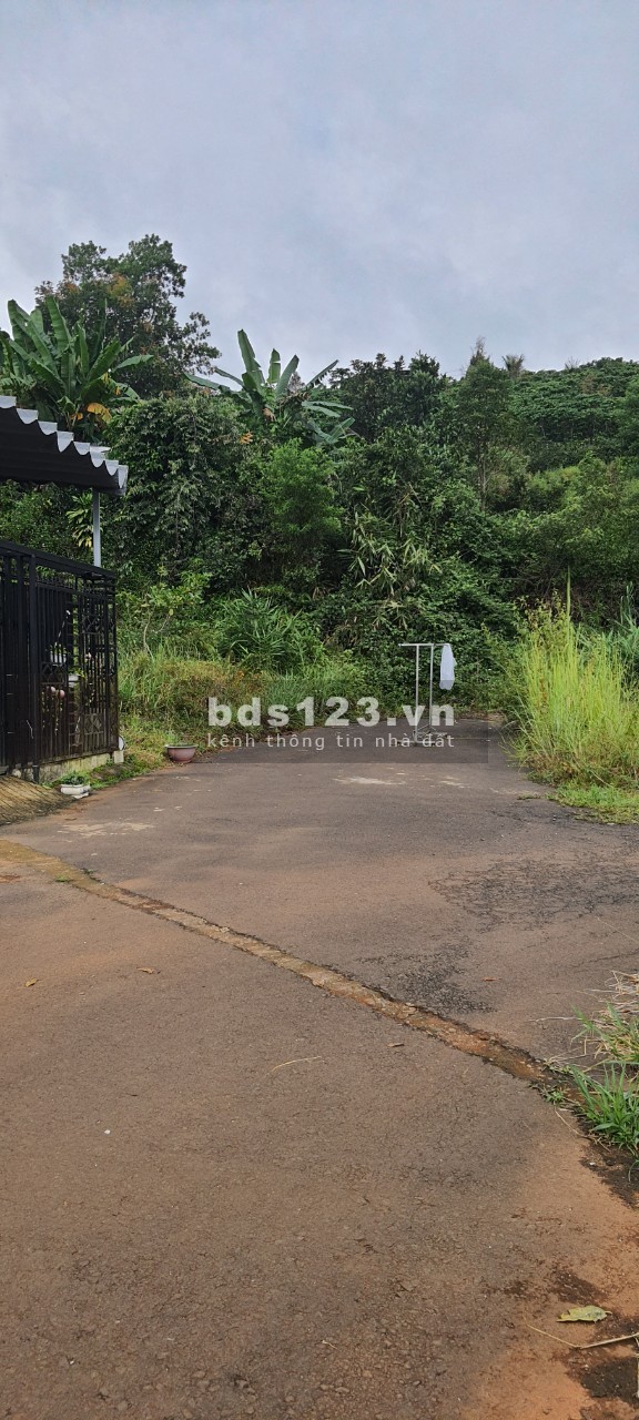 Cần bán gấp lô đất đẹp hẻm 123 Mạc Đĩnh Chi, phường 2, Bảo Lộc