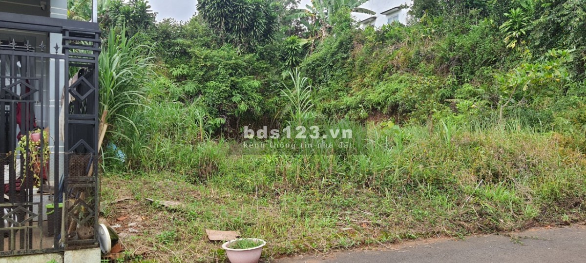 Cần bán gấp lô đất đẹp hẻm 123 Mạc Đĩnh Chi, phường 2, Bảo Lộc