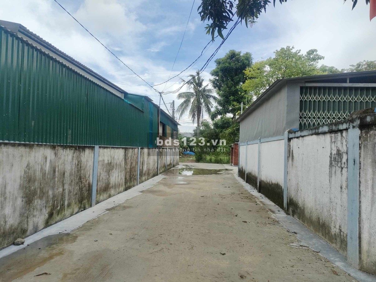 Chỉ với hơn 600 triệu có ngay lô đất Nghi Thịnh - Nghi Lộc
