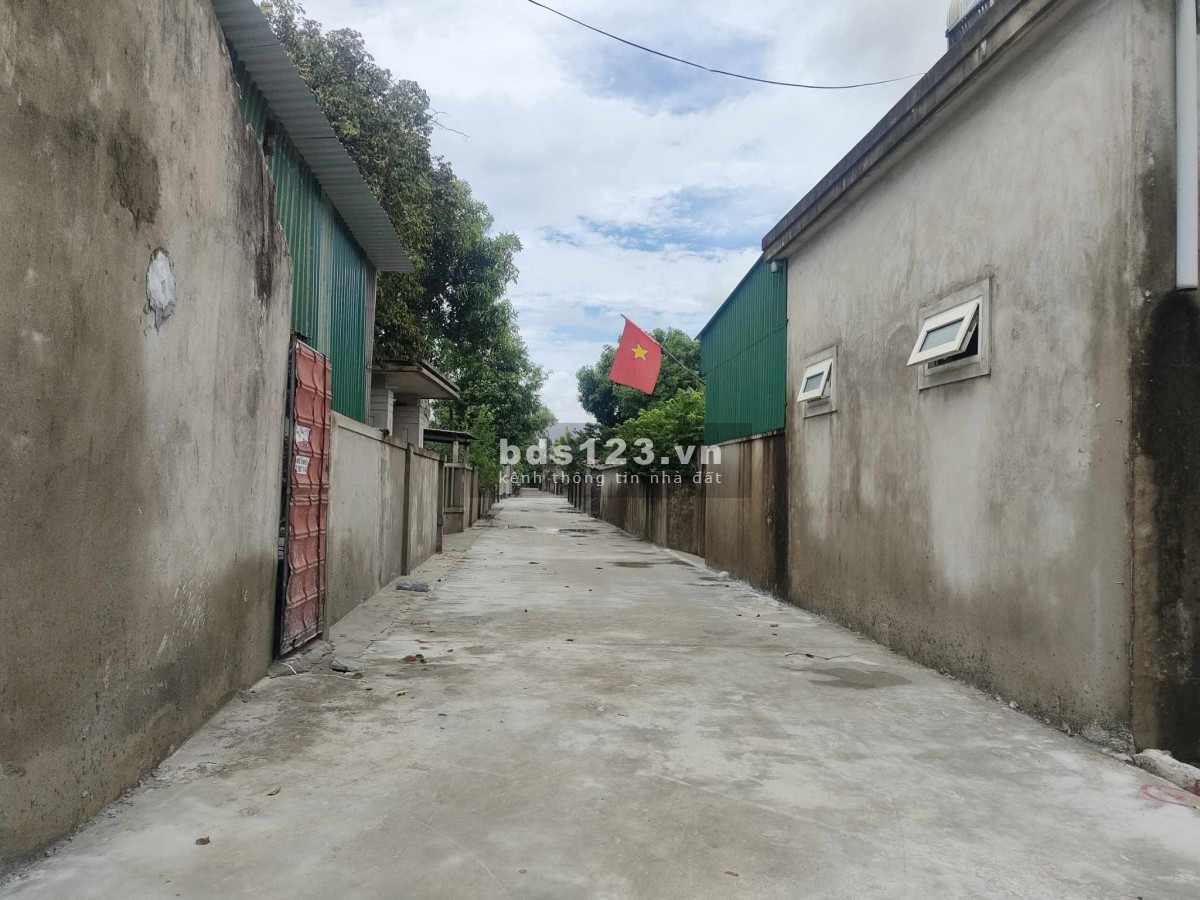 Chỉ với hơn 600 triệu có ngay lô đất Nghi Thịnh - Nghi Lộc