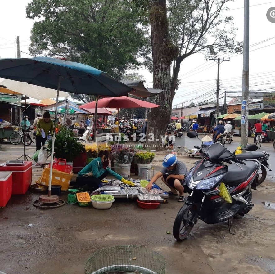 BÁN GẤP đất trung tâm Thành phố Thủ Dầu Một, Tỉnh Bình Dương.