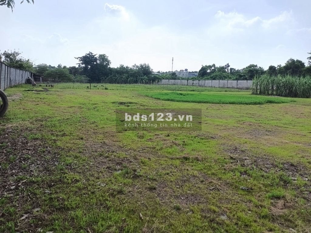 Cho thuê đất 10.000m2 gần Vòng xoay cổng 11, Biên Hoà, Đồng Nai
