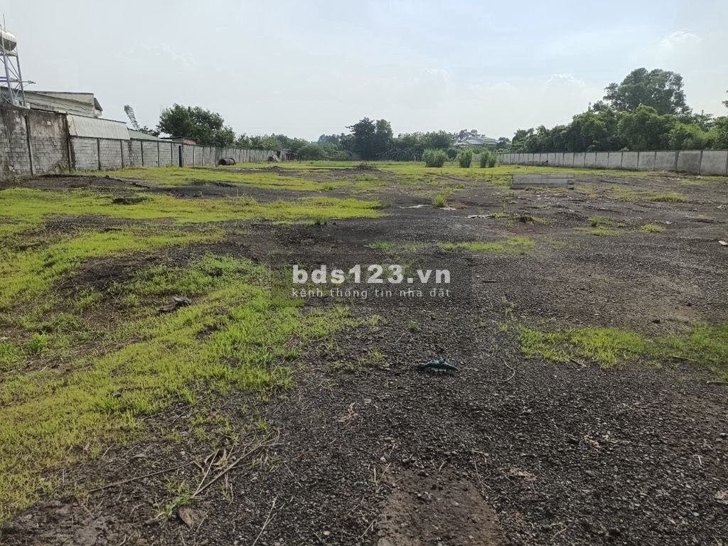 Cho thuê đất 10.000m2 gần Vòng xoay cổng 11, Biên Hoà, Đồng Nai