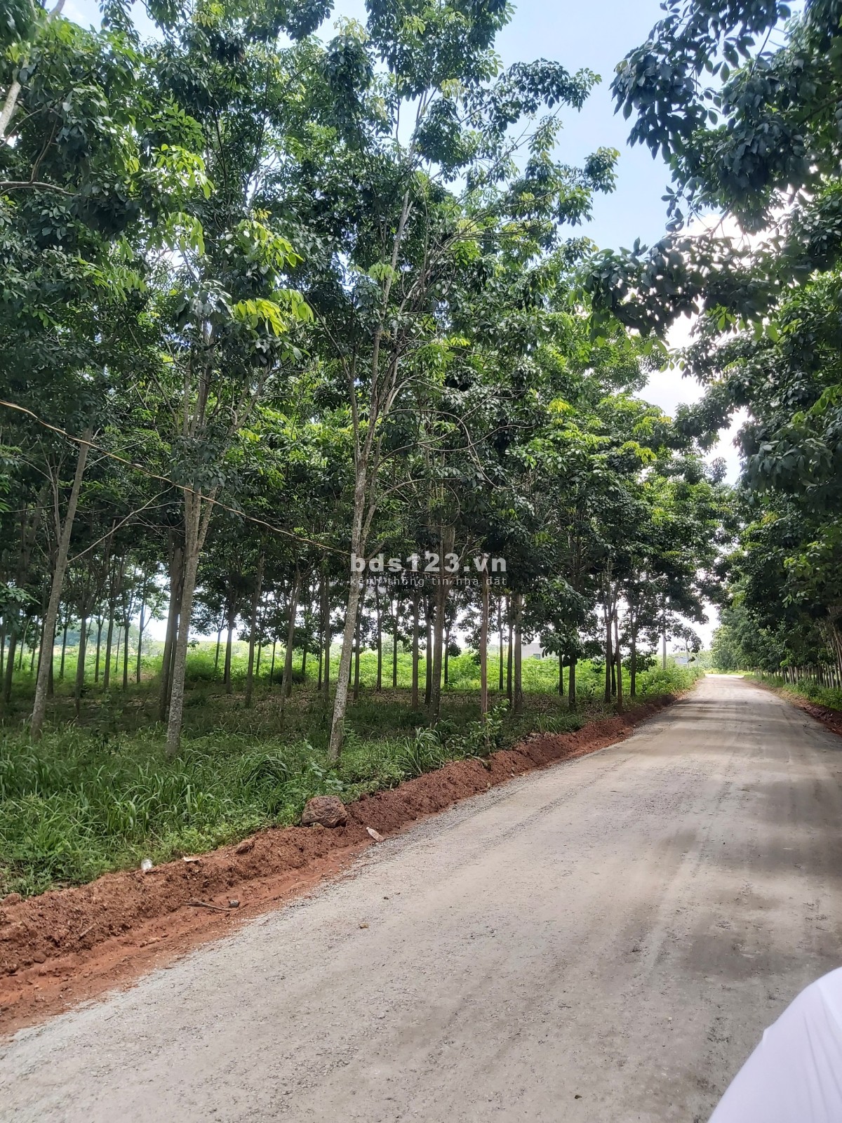 Cần bán lô đất Minh Thành, Chơn Thành
