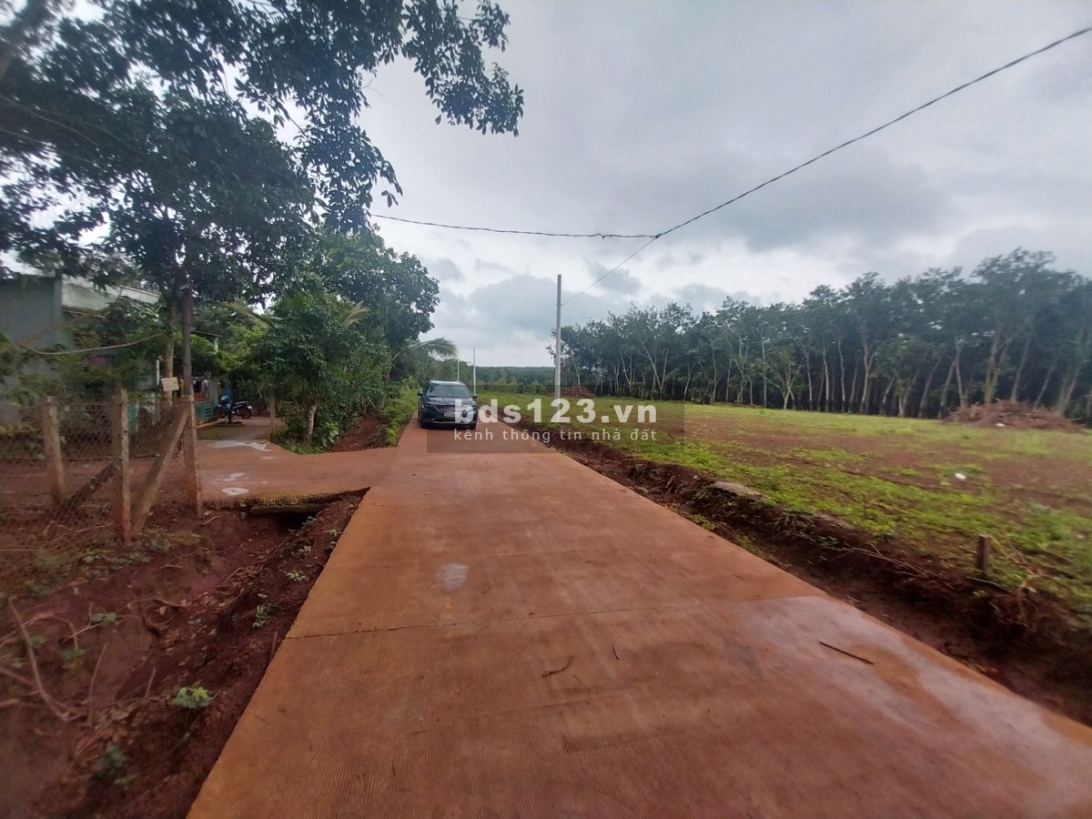 VỊ TRÍ QUÁ ĐẸP 3006M2 KẾ BÊN THCS TÂN HƯNG 59M MẶT TIỀN CHỐT CHỈ 375TR SẴN SỔ