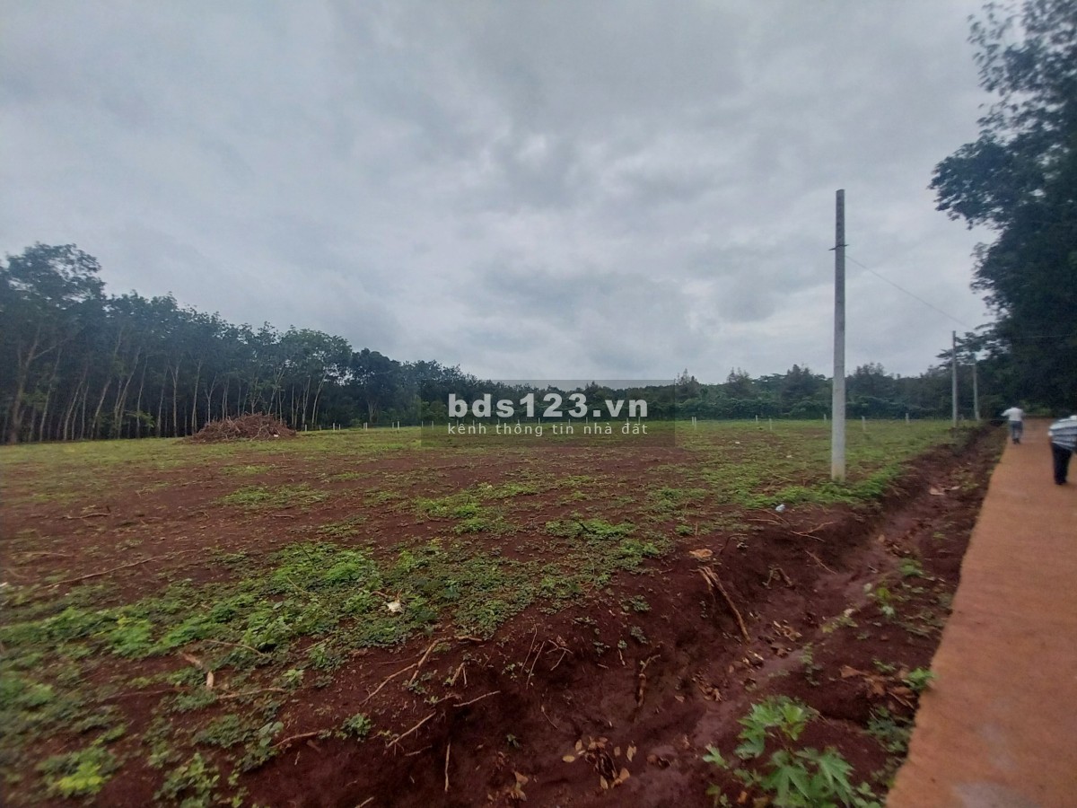 VỊ TRÍ QUÁ ĐẸP 3006M2 KẾ BÊN THCS TÂN HƯNG 59M MẶT TIỀN CHỐT CHỈ 375TR SẴN SỔ