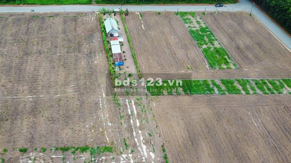 BÁN VÀI LÔ NGANG 7 GIÁ RẺ TẠI TX CHƠN THÀNH