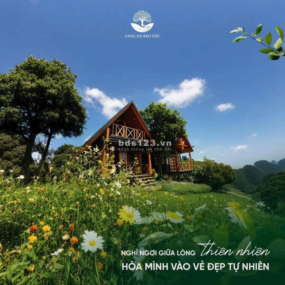 Làng Oa Bảo Lộc - Cộng đồng nhà gỗ ven suối, 15 tiện ích vượt trội, 1000m2 giá chỉ từ 1,45 triệu/m2