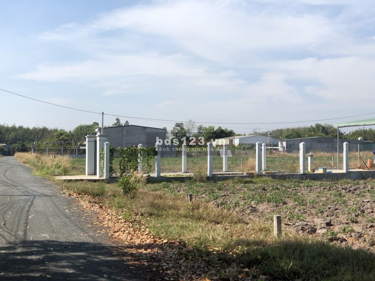 Miếng Đất Ngộp 743,6m2 có 30M Mặt Tiền Sổ sẵn 600M Thổ Cư Mặt Tiền Đường 24M Gấp Bán