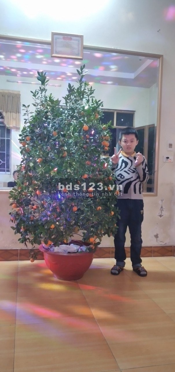 Bán nhà Cực hiếm, Diện tích 99m giá chỉ 1.2 tỷ, mua nhanh thì còn