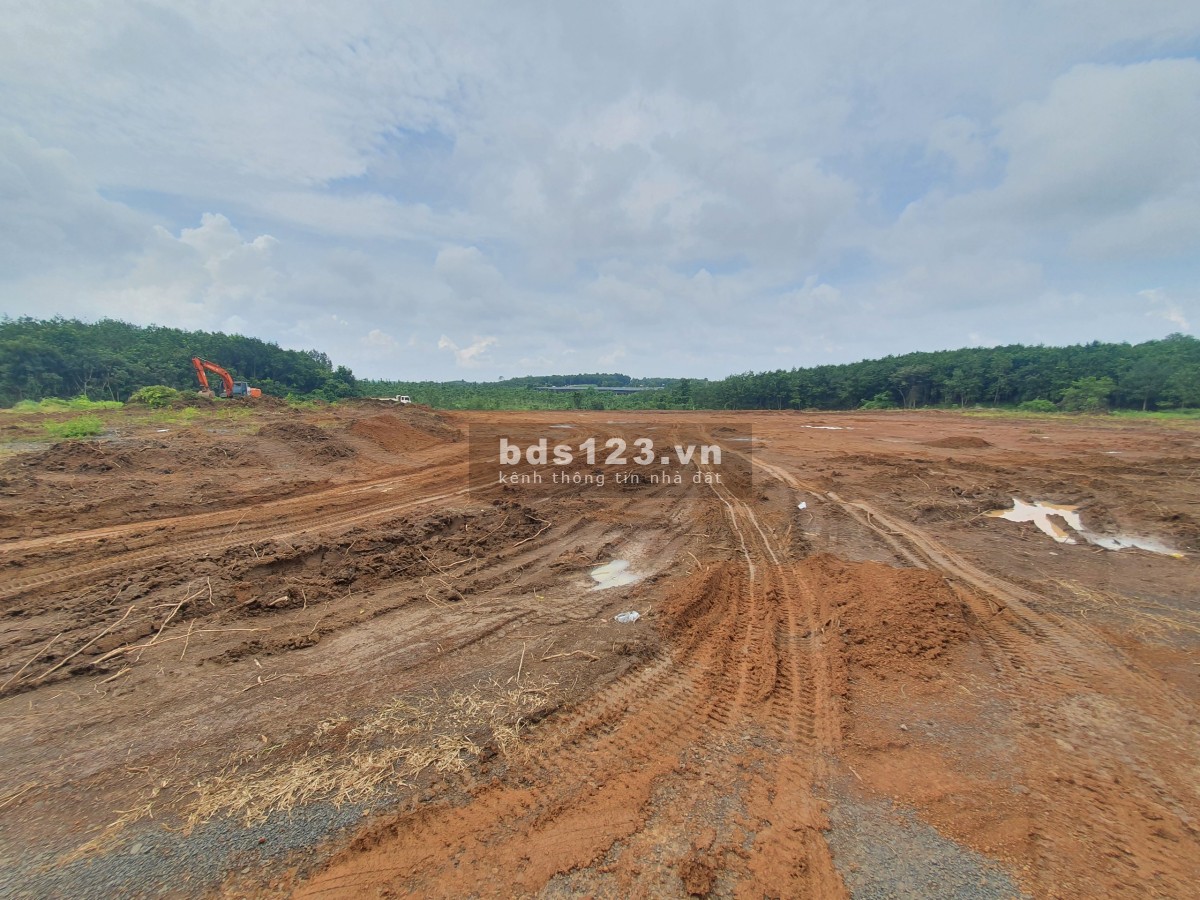 có vườn mít 500m2 cần ra gấp, ngộp ngộp ngộp