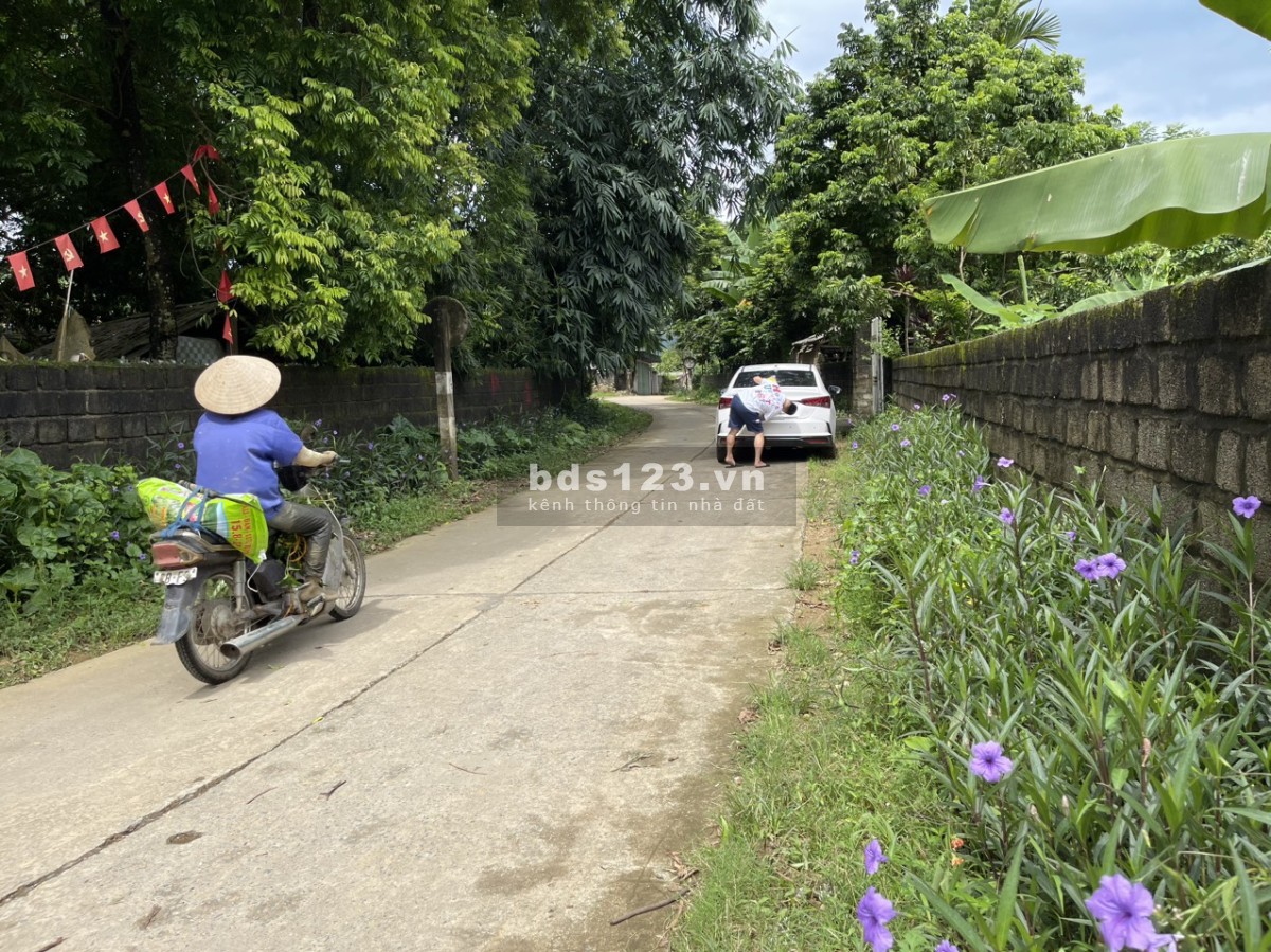 Bán đất Thanh Cao Lương Sơn Hòa Bình đường rộng 8m giá chỉ hơn 300tr