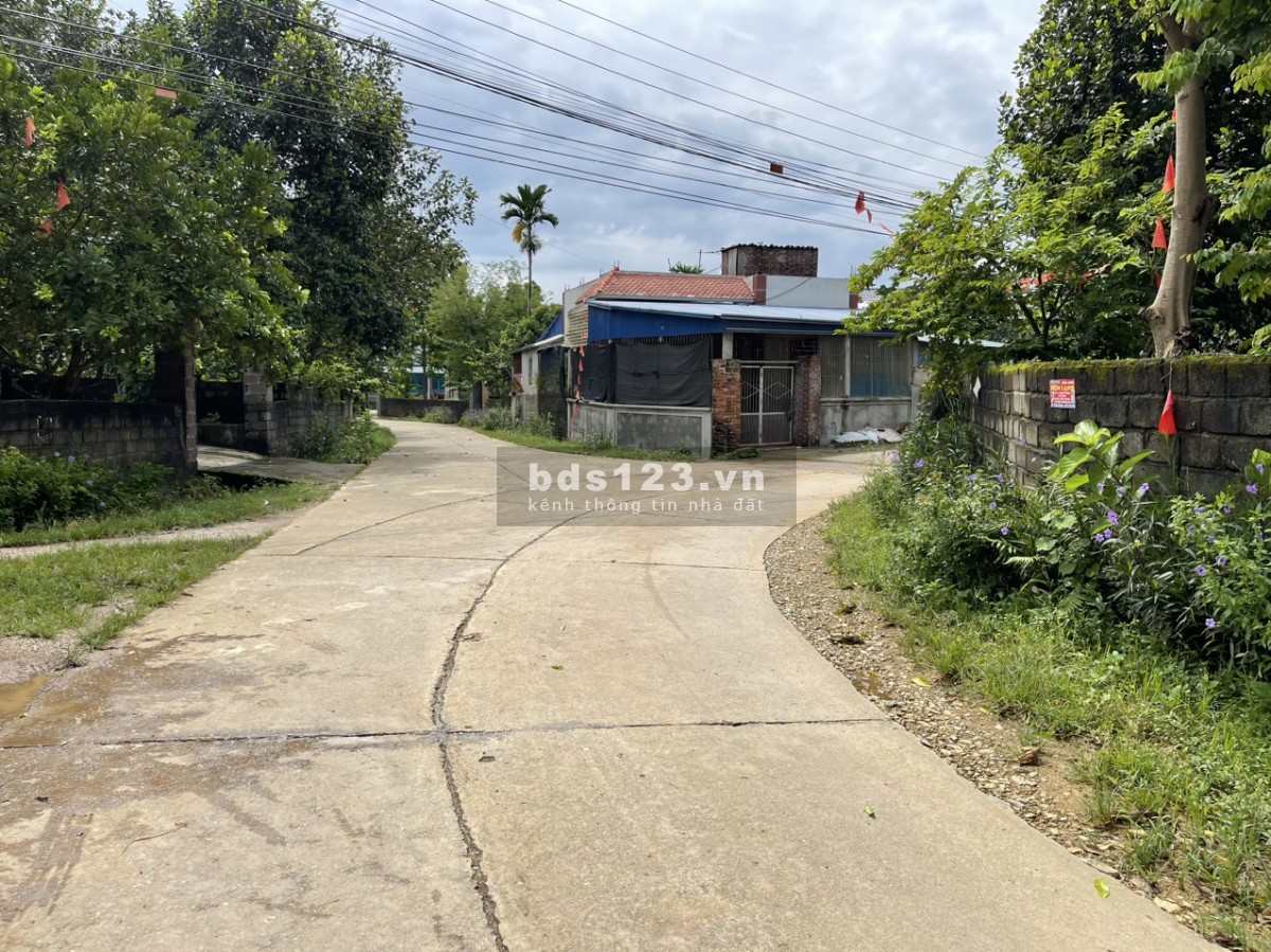 Bán đất Thanh Cao Lương Sơn Hòa Bình đường rộng 8m giá chỉ hơn 300tr