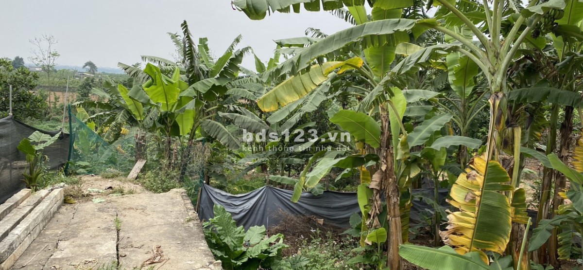 Siêu hiếm, bán 82,3 m đất tại Bồng Lai, Hồng Hà, Đan Phượng, ô tô đỗ cửa