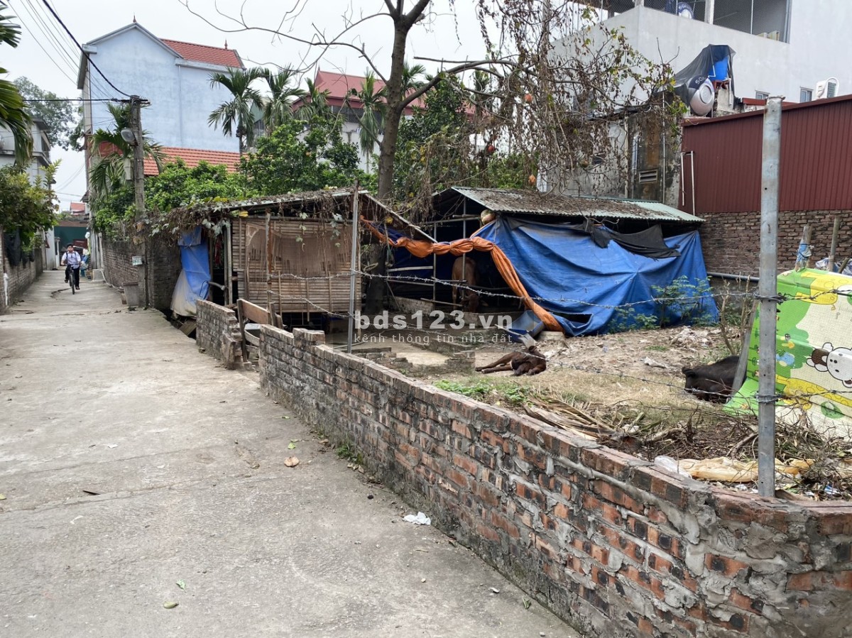 Siêu hiếm, bán 82,3 m đất tại Bồng Lai, Hồng Hà, Đan Phượng, ô tô đỗ cửa