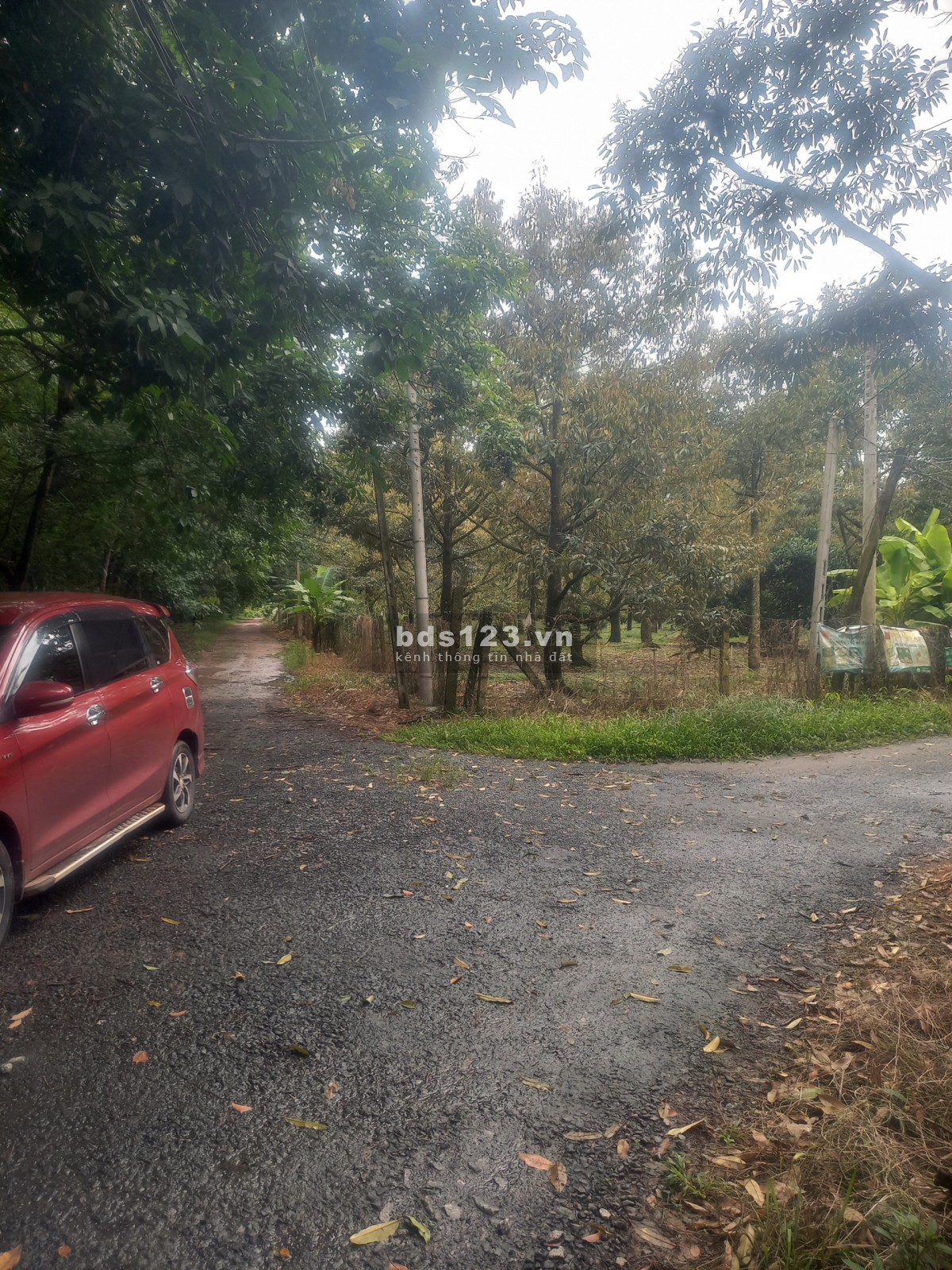 Vườn sầu riêng 500m2 Thành Tâm Chơn Thành sát KCN Chơn Thành 1,2 giá 1ty150tr sổ sẵn