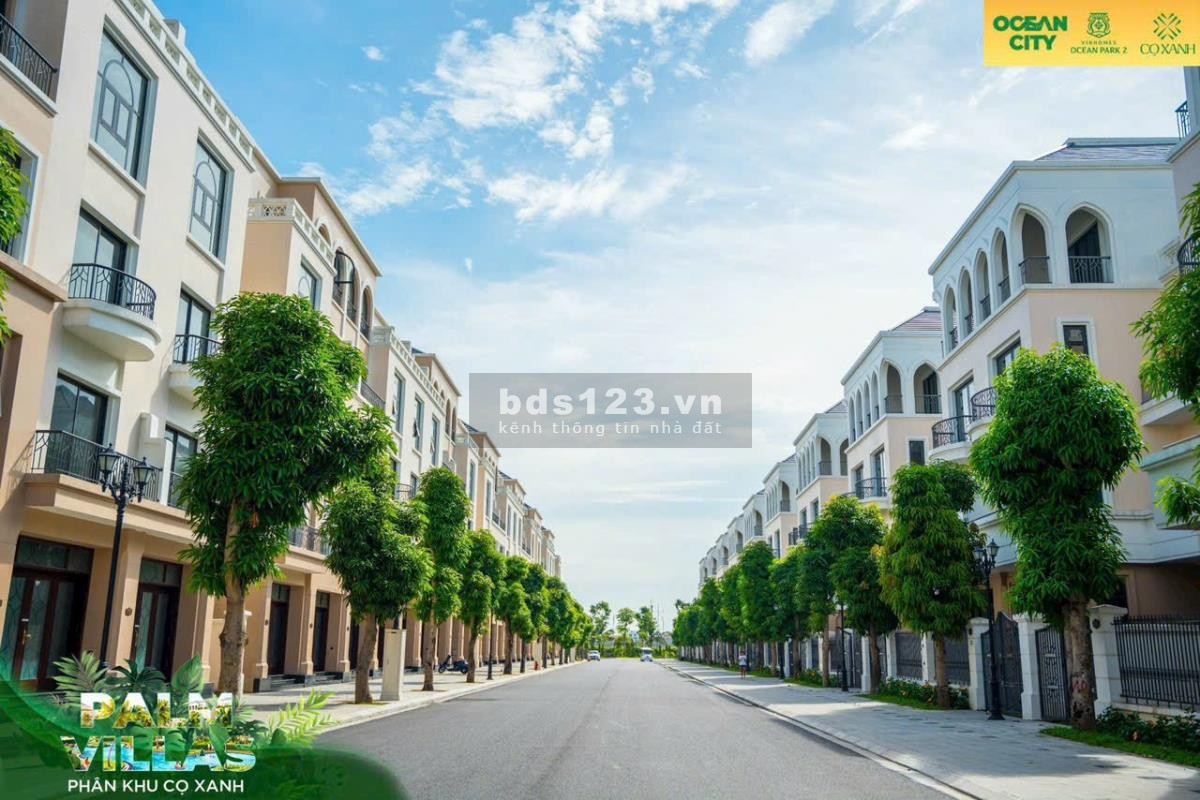 MUA BÁN BIỆT THỰ DƯỚI 10 TỶ TẠI OCEAN PARK 2,3