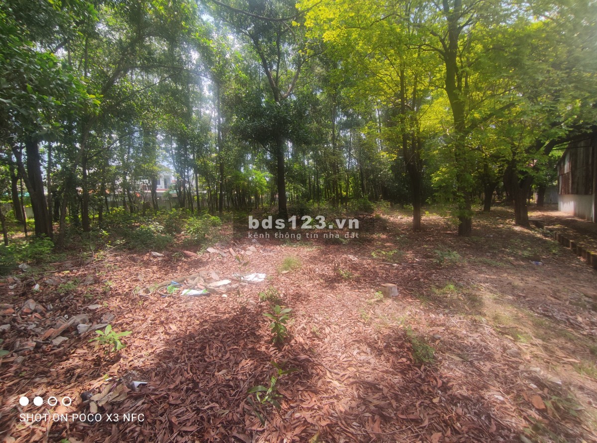 Cho thuê đất 2.400m2 gần QL 1K, Linh Xuân, Thủ Đức.